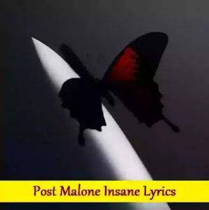 Post Malone Insane Lyrics