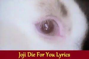 Joji Die For You Lyrics