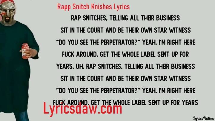 Rapp Snitch Knishes Lyrics With Video – MF DOOM | 2004 Song Rapp Snitch Knishes Lyrics 1
