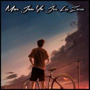 mar jau ya jee lu zara lyrics