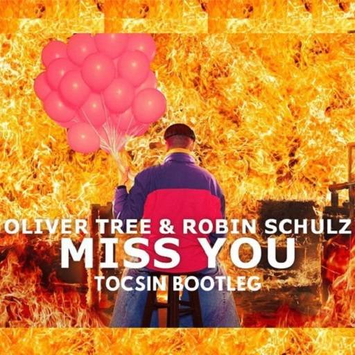 Robin Schulz Miss You Lyrics 1