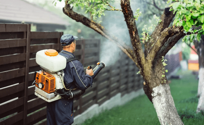 Best Sustainable Pest Control Methods for Homes Screenshot 2026 07 06 140725